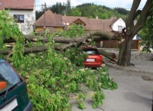 Kwikfynd Tree Cutting Services
croftby
