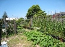 Kwikfynd Vegetable Gardens
croftby